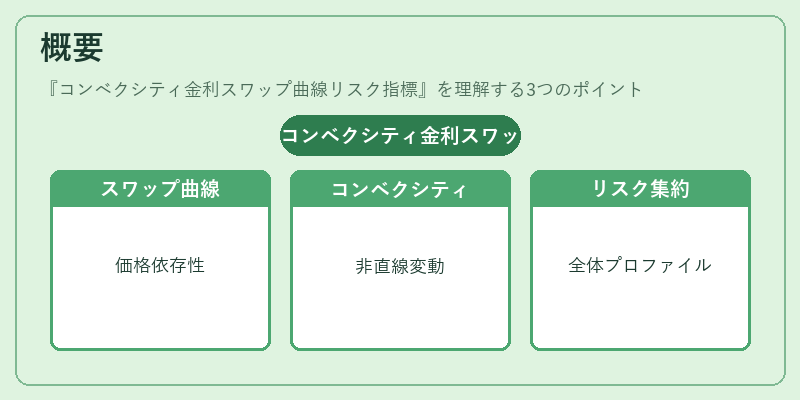 概要（コンベクシティ金利スワップ曲線リスク指標）の図解