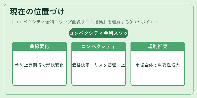 現在の位置づけ（コンベクシティ金利スワップ曲線リスク指標）の図解