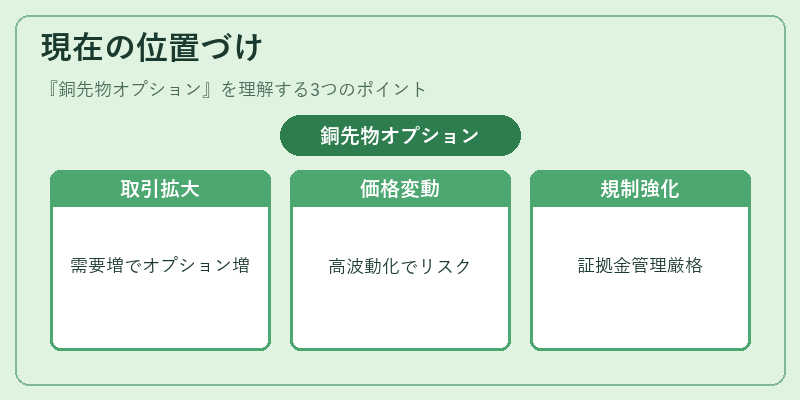 現在の位置づけ（銅先物オプション）の図解