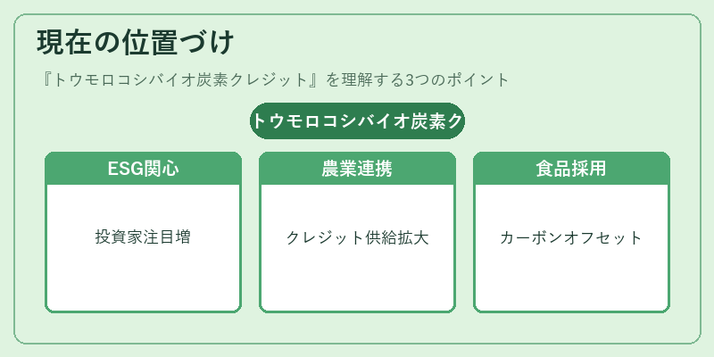 現在の位置づけ（トウモロコシバイオ炭素クレジット）の図解