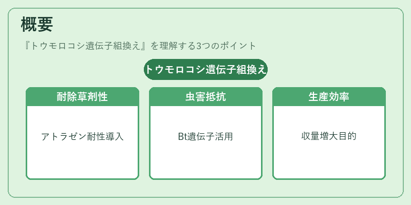 概要（トウモロコシ遺伝子組換え）の図解