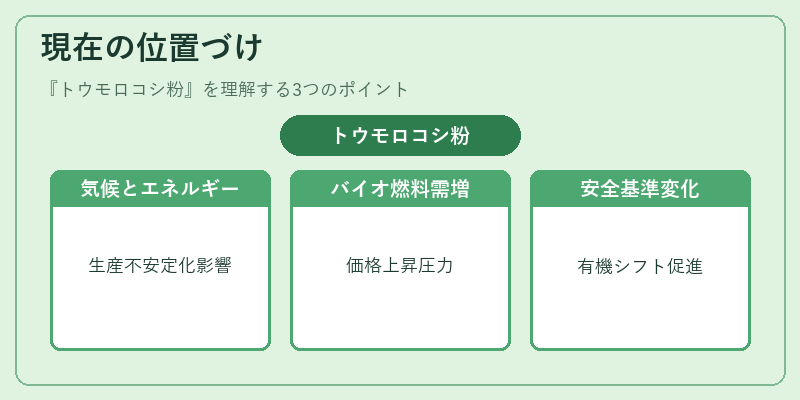 現在の位置づけ（トウモロコシ粉）の図解