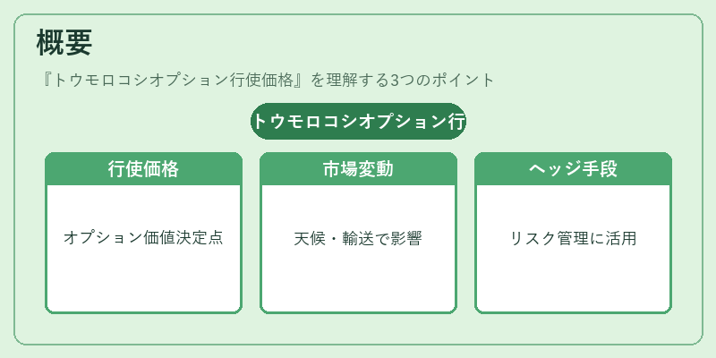 概要（トウモロコシオプション行使価格）の図解
