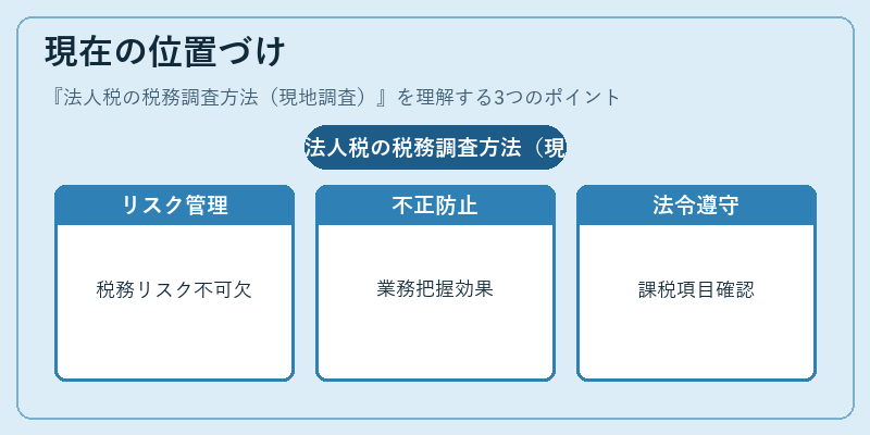 現在の位置づけ（法人税の税務調査方法（現地調査））の図解