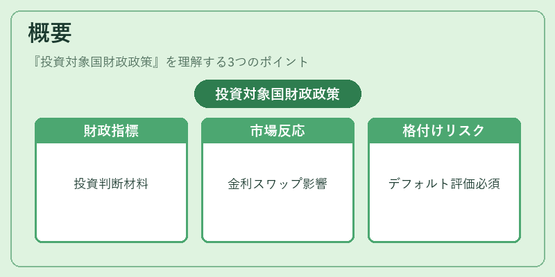 概要(投資対象国財政政策)の図解