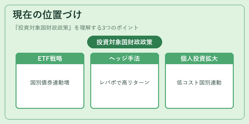 現在の位置づけ(投資対象国財政政策)の図解
