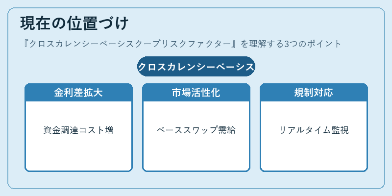 現在の位置づけ（クロスカレンシーベーシスクーブリスクファクター）の図解