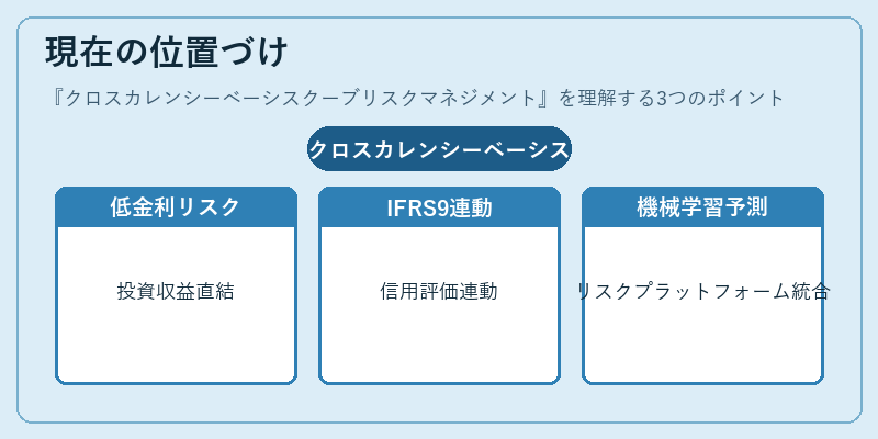 現在の位置づけ（クロスカレンシーベーシスクーブリスクマネジメント）の図解