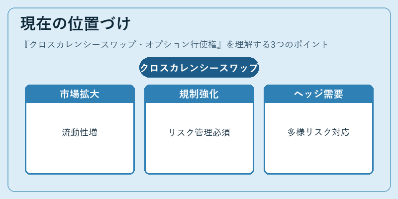 現在の位置づけ(クロスカレンシースワップ・オプション行使権)の図解