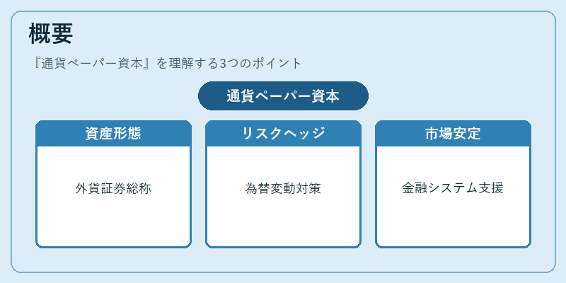 概要（通貨ペーパー資本）の図解