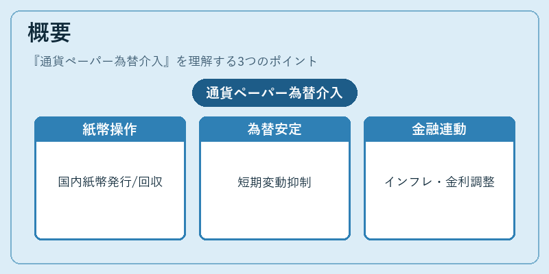 概要（通貨ペーパー為替介入）の図解