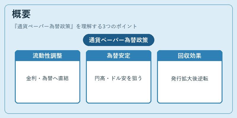概要（通貨ペーパー為替政策）の図解
