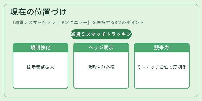 現在の位置づけ（通貨ミスマッチトラッキングエラー）の図解