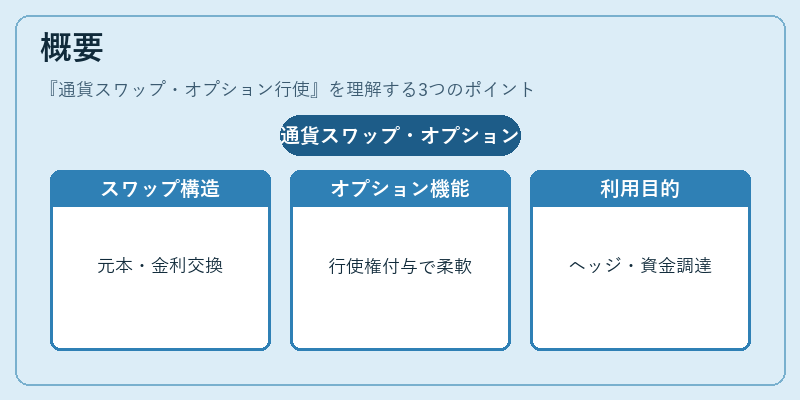 概要（通貨スワップ・オプション行使）の図解
