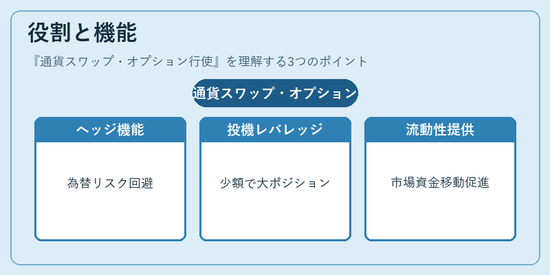 役割と機能（通貨スワップ・オプション行使）の図解