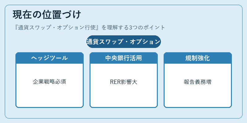 現在の位置づけ（通貨スワップ・オプション行使）の図解