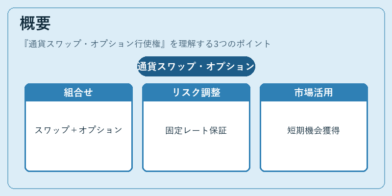 概要（通貨スワップ・オプション行使権）の図解