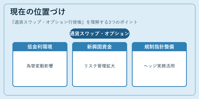 現在の位置づけ（通貨スワップ・オプション行使権）の図解