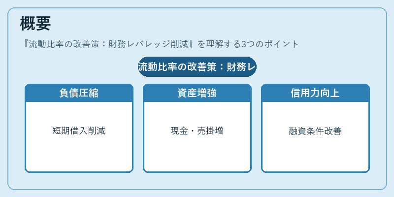 概要（流動比率の改善策：財務レバレッジ削減）の図解