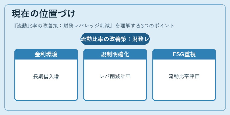 現在の位置づけ（流動比率の改善策：財務レバレッジ削減）の図解