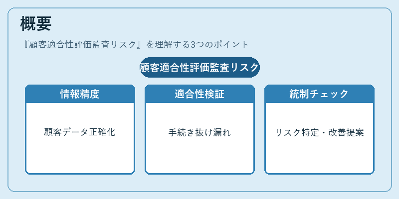 概要（顧客適合性評価監査リスク）の図解