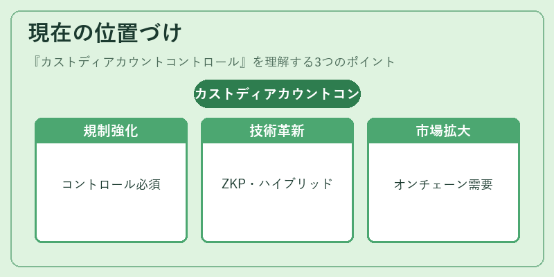 現在の位置づけ(カストディアカウントコントロール)の図解