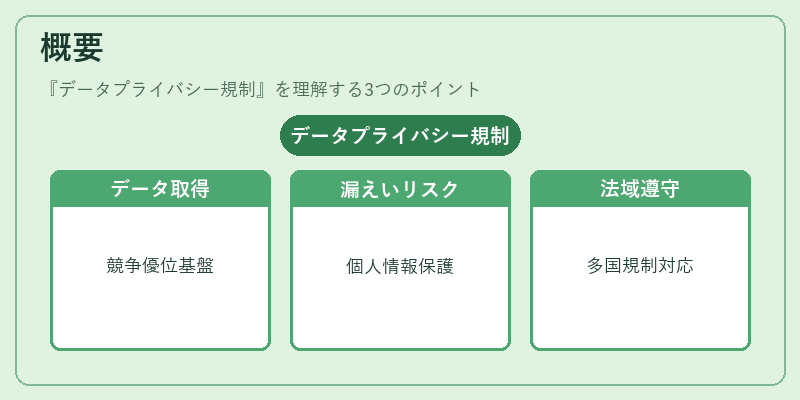 概要（データプライバシー規制）の図解