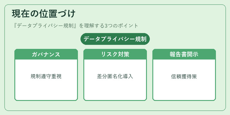 現在の位置づけ（データプライバシー規制）の図解