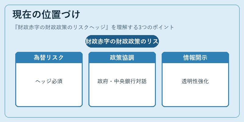 現在の位置づけ（財政赤字の財政政策のリスクヘッジ）の図解