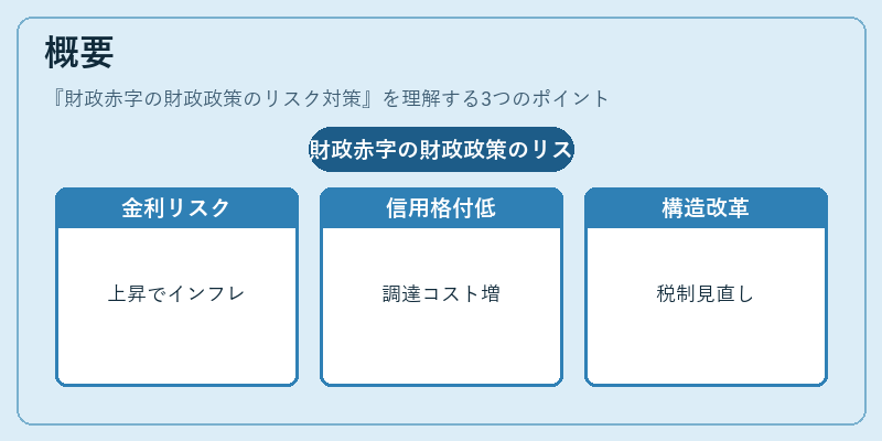 概要（財政赤字の財政政策のリスク対策）の図解