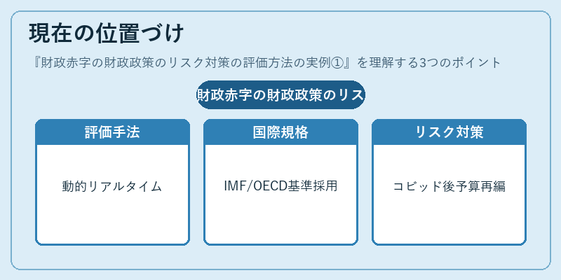 現在の位置づけ（財政赤字の財政政策のリスク対策の評価方法の実例①）の図解