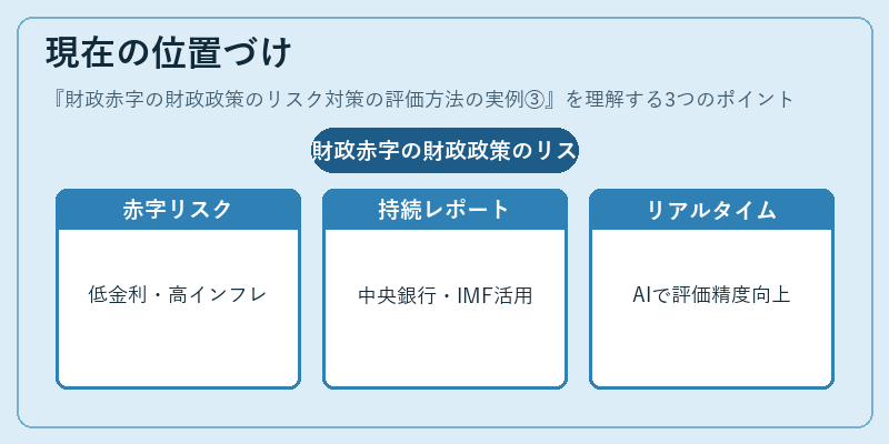 現在の位置づけ（財政赤字の財政政策のリスク対策の評価方法の実例③）の図解
