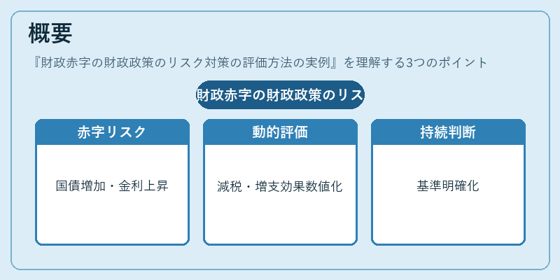 概要（財政赤字の財政政策のリスク対策の評価方法の実例）の図解