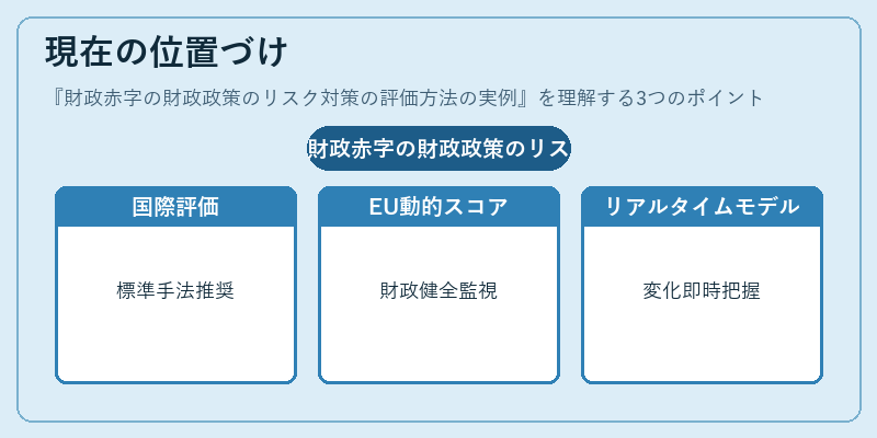 現在の位置づけ（財政赤字の財政政策のリスク対策の評価方法の実例）の図解