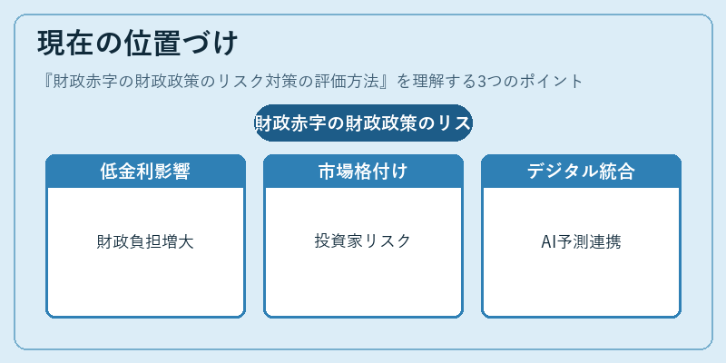 現在の位置づけ（財政赤字の財政政策のリスク対策の評価方法）の図解