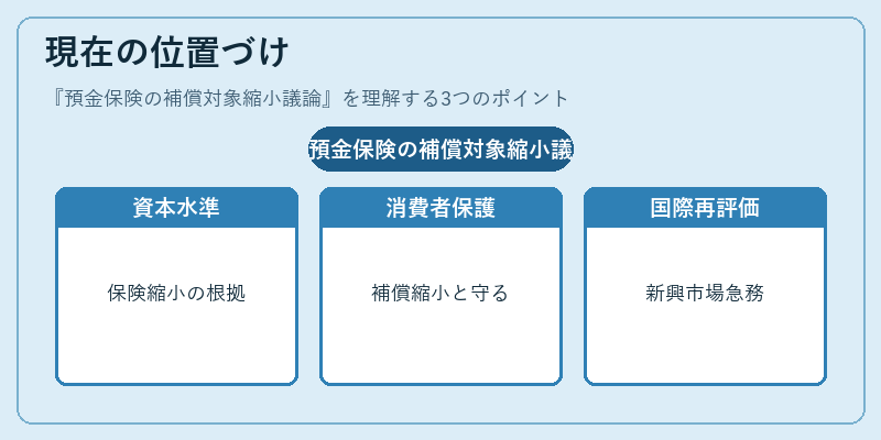 現在の位置づけ（預金保険の補償対象縮小議論）の図解