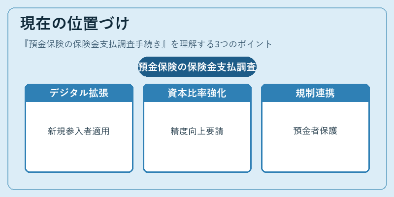 現在の位置づけ（預金保険の保険金支払調査手続き）の図解