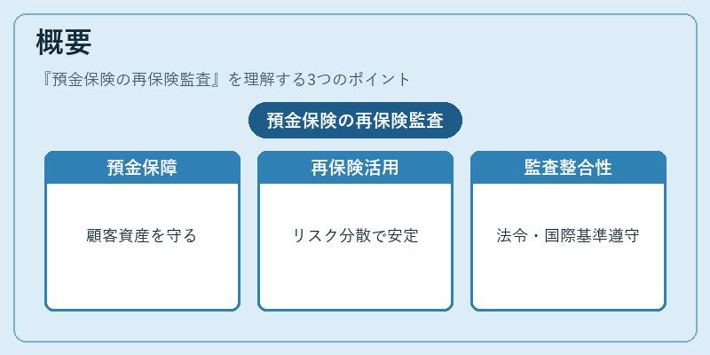 概要（預金保険の再保険監査）の図解