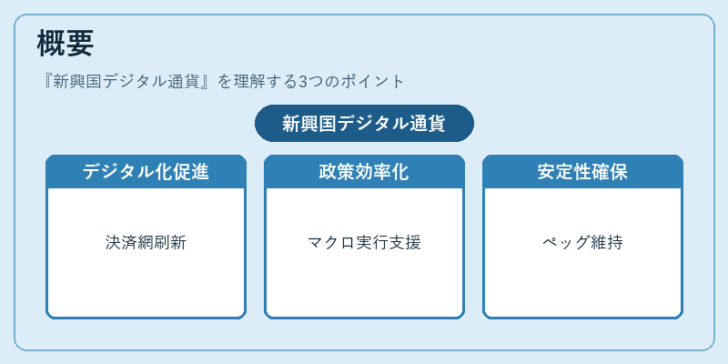 概要（新興国デジタル通貨）の図解