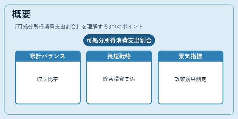 概要（可処分所得消費支出割合）の図解