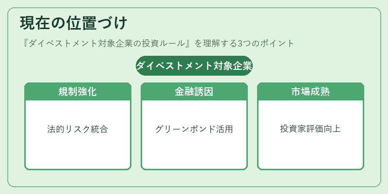 現在の位置づけ（ダイベストメント対象企業の投資ルール）の図解