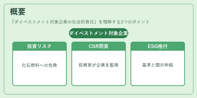 概要（ダイベストメント対象企業の社会的責任）の図解