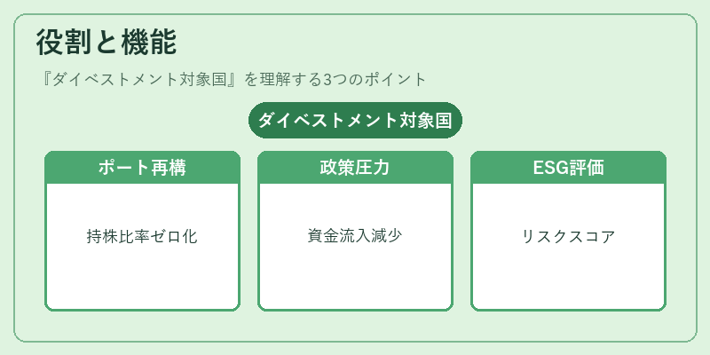 役割と機能（ダイベストメント対象国）の図解