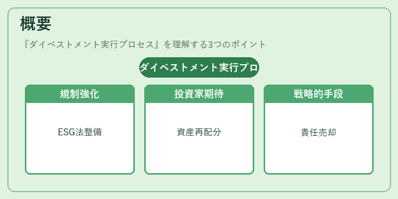 概要（ダイベストメント実行プロセス）の図解
