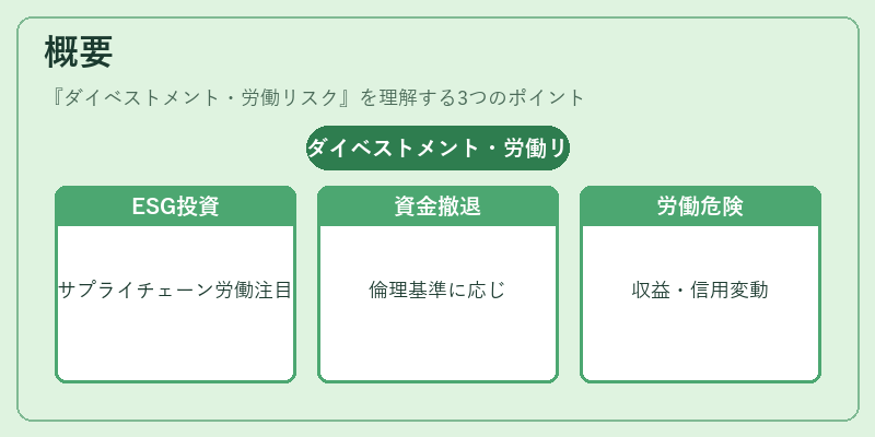 概要（ダイベストメント・労働リスク）の図解