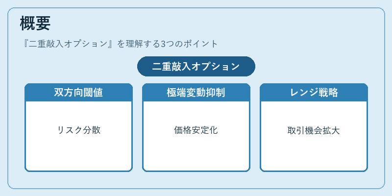 概要（二重敲入オプション）の図解