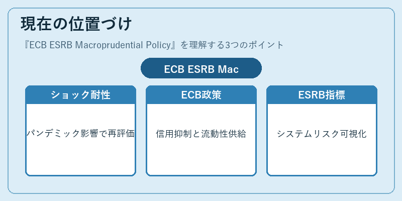 現在の位置づけ（ECB ESRB Macroprudential Policy）の図解