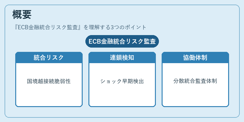 概要（ECB金融統合リスク監査）の図解