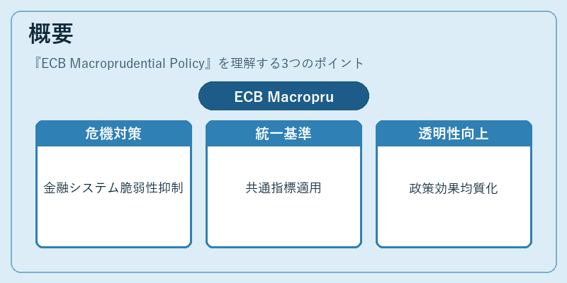 概要（ECB Macroprudential Policy）の図解