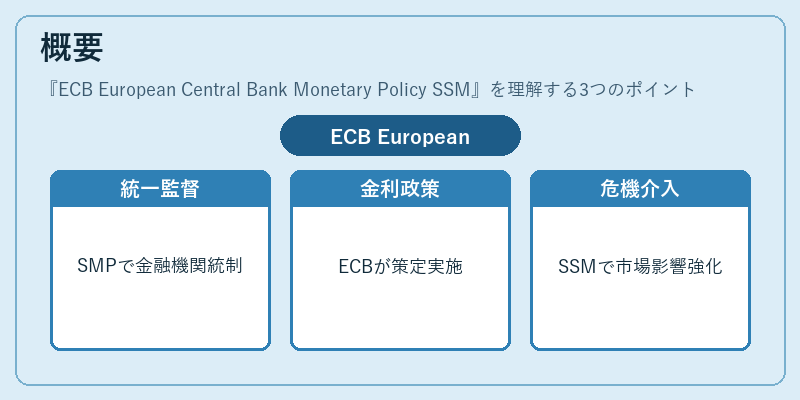 概要（ECB European Central Bank Monetary Policy SSM）の図解